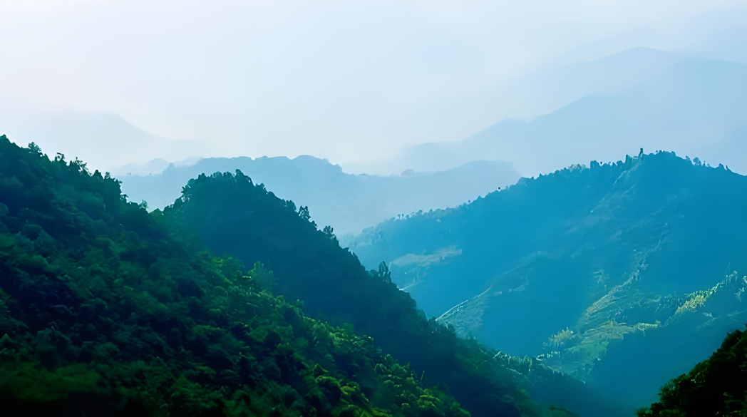 森林防火預警方案